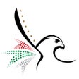 أيقونة البرنامج: ICA UAE eChannels