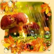 Autumn Rain live wallpaper
