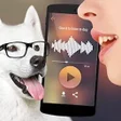 程序图标：Dog Pedia - Talk Translat…