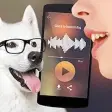 Dog Pedia - Talk Translate  C