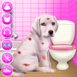 프로그램 아이콘: Labrador Puppy Day Care