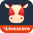 Calfscore-Sports livescore