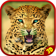 Programikonen: Angry Cheetah Wild Attack…