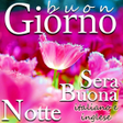 プログラムのアイコン：Morning Noon Night in Ita…