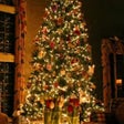 Icoon van programma: Animated Christmas tree a…