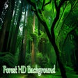 Icoon van programma: Forest HD Background