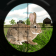 プログラムのアイコン：Rabbit Hunting Challenge