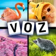 Programikonen: 4 Imagens 1 Voz