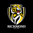 程序图标：Richmond Official App