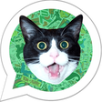 程序图标：Sticker Creator WASticker…