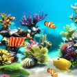 プログラムのアイコン：aquarium 4k live wallpape…