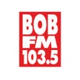 プログラムのアイコン：BOB-FM Austin