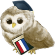 程序图标：Learn Dutch