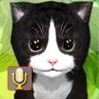 プログラムのアイコン：Talking Kittens cats that…