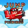 程序图标：Jump PixBirds