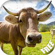 程序图标：Animal Sounds for Parents