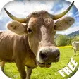 Animal Sounds for Parents APK for Android