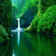 Programikonen: Nature Wallpaper