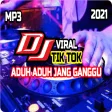 DJ Aduh Aduh Jang Ganggu Remix