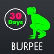 30 Day Burpee Fitness Challenges  Daily Workout