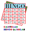 程序图标：Cartela para Bingo 75 bol…