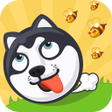 Ikon program: Crazy Dog