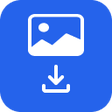 Icon of program: Download Image on Page
