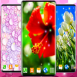 プログラムのアイコン：Animated Wallpaper For Xi…