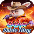程序图标：88prSable King