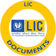 Programikonen: LIC docQ