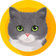 Icon of program: StatPal