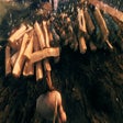 程序图标：AutoStackFix