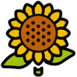 Иконка программы: Tournesol Extension