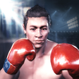 Иконка программы: Boxing King 3D