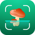 Ícone do programa: Mushroom ID: Fungi Identi…