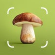 Icon of program: Mushroom ID - Fungi Identifier