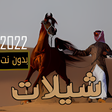 أيقونة البرنامج: شيلات 2022 بدون نت كل الش…