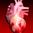 Icoon van programma: Circulatory System 3D Ana…