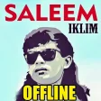 Lagu Iklim Saleem Full Album