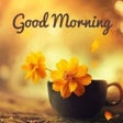 Icoon van programma: Everyday Wishes And Bless…