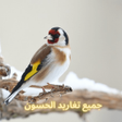 Programikonen: جميع تغاريد الحسون