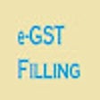 Icon of program: Good and Simple Tax