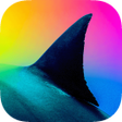 Icon of program: Into The Now