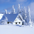Programikonen: Winter Wallpaper