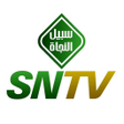 程序图标：SNTV