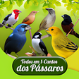 Ícone do programa: Todos em 1-Cantos dos Pás…