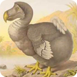 Programikonen: Extinct animals