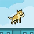 程序图标：Flappy Doge 1
