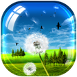 Programikonen: Magic Touch Dandelion LWP