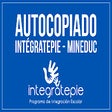 Programikonen: Autocopiado FUDEI